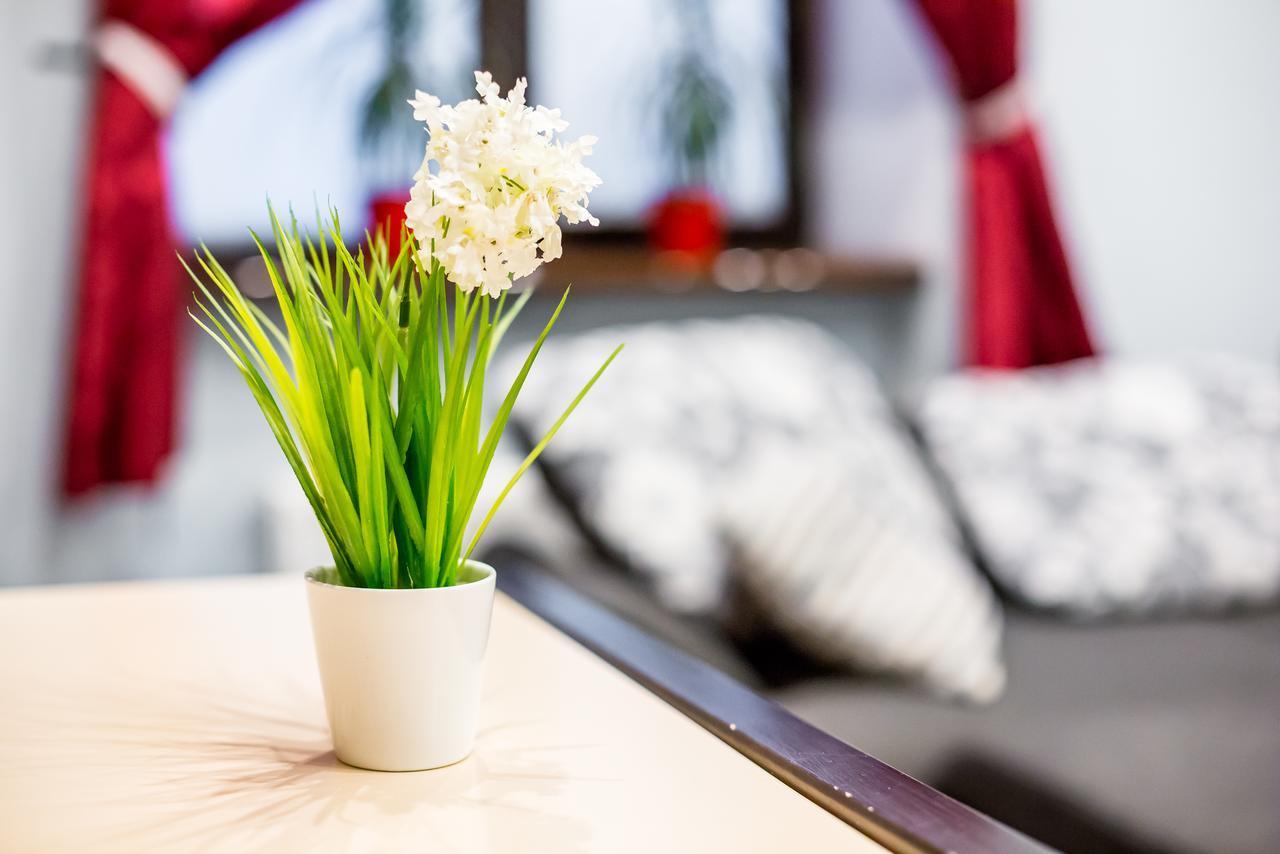 Alfa Apartments Uzhgorodska Lviv Extérieur photo